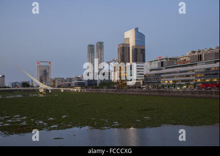 Buenos Aires, Buenos Aires, Argentinien. 21. Januar 2016. Puerto Madero Nachbarschaft, fallenden Wasserhyazinthen (Eichhornia Crassipes), zeigt ein ganz anderes Aussehen. Die Invasion dieser Wasser-Pflanzen ist Folge der schweren Überschwemmungen in den nördlichen Provinzen und hat auch einen Alarm erhöht, da die Flut Tiere und Insekten, unter ihnen giftige Schlangen, Spinnen und Skorpione gebracht hat. Bildnachweis: Patricio Murphy/ZUMA Draht/Alamy Live-Nachrichten Stockfoto