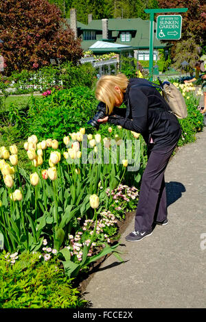 Butchart Gardens Victoria British Columbia Kanada Stockfoto