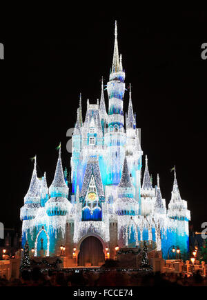 Cinderella Castle beleuchtet in der Nacht, Magic Kingdom, Disney Stockfoto