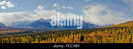 Schneebedeckte Chugach Mountains auf dem Glenn Highway im Herbst Stockfoto