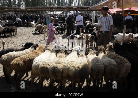 Viehhandel in Sonntagsmarkt in Kashgr, Provinz Xinjiang, Volksrepublik China Stockfoto