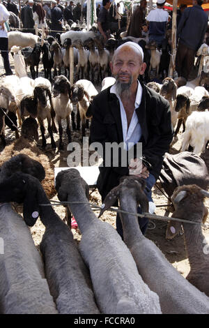 Ein Mann mit seinen Schafen im Sonntagsmarkt in Kashgr, Provinz Xinjiang, Volksrepublik China Stockfoto