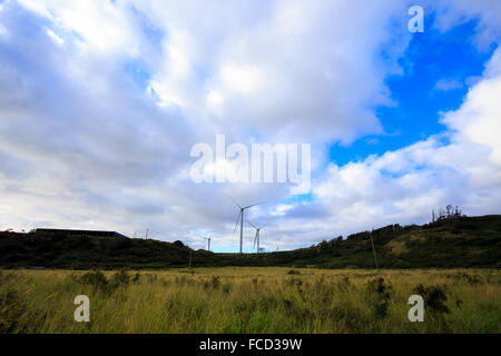 Grüner Energie ist bei dieser massiven Windpark wo Turbinen die Hügel in Oahu Hawaii Linie gelagert. Nachhaltige, erneuerbare Energie. Stockfoto