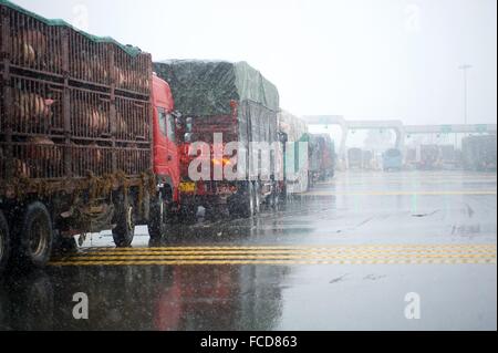 Jiujiang, Chinas Jiangxi Provinz. 22. Januar 2016. Fahrzeuge-Warteschlange durch Jiujiang Yangtze Fluss Brücke der Autobahn in Jiujiang Stadt, Osten Chinas Jiangxi Provinz, 22. Januar 2016 laufen. Ein großer Teil von Jiangxi wurde von Schneestürmen am Freitag getroffen. Es ist kältesten Wetter seit 1992 von Jan. 23 bis 26 erwartet wird. Bildnachweis: Hu Chenhuan/Xinhua/Alamy Live-Nachrichten Stockfoto