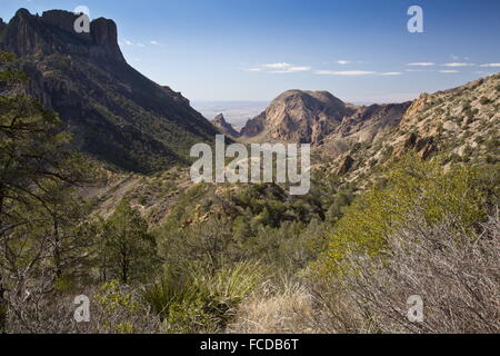 Berglandschaft in Big Bend Nationalpark, Texas Chisos Basin, Chisos Berge, Wüste Stockfoto