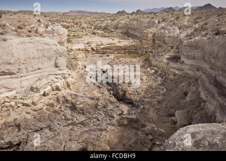 Tuff Canyon, mit Schichten von gehärteten Vulkanasche, Big Bend Nationalpark, Texas Stockfoto