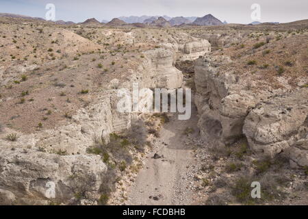 Tuff Canyon, mit Schichten von gehärteten Vulkanasche, Big Bend Nationalpark, Texas Stockfoto