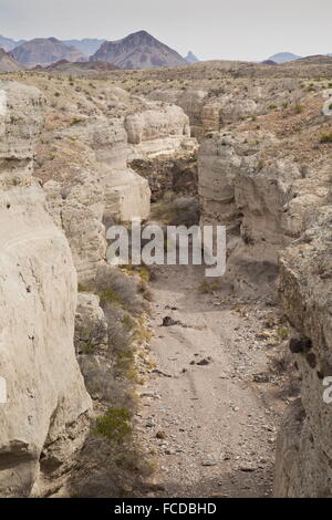 Tuff Canyon, mit Schichten von gehärteten Vulkanasche, Big Bend Nationalpark, Texas Stockfoto