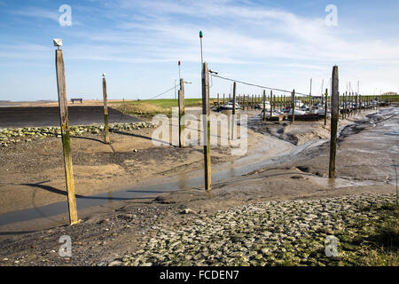 Niederlande, Paal, Westerschelde Fluss. Gezeiten-Sümpfe. Marina bei Ebbe Stockfoto