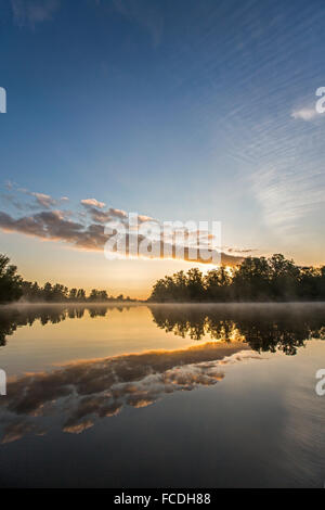 Niederlande, Werkendam, Nationalpark De Biesbosch, morgen Ruhe auf dem Wasser Stockfoto