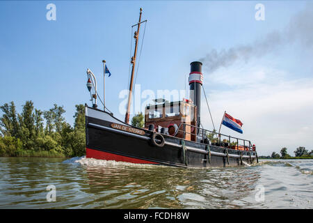 Niederlande, Werkendam, Nationalpark De Biesbosch. Kino-Film schießt für Film namens Holland, Natuur in de Delta Stockfoto