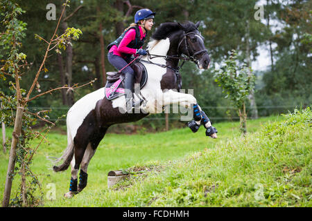 Pinto-Pony. Mädchen auf einem Skewbal Pony, die Verhandlungen über ein Hindernis während der Langlauf Fahrt. Deutschland Stockfoto