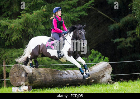 Pinto-Pony. Mädchen auf einem Skewbal Pony, die Verhandlungen über ein Hindernis während der Langlauf Fahrt. Deutschland Stockfoto