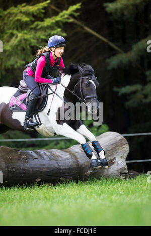 Pinto-Pony. Mädchen auf einem Skewbal Pony, die Verhandlungen über ein Hindernis während der Langlauf Fahrt. Deutschland Stockfoto