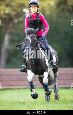 Pinto-Pony. Mädchen auf einem Skewbal Pony im Galopp auf dem Rasen bei einer Langlauf Fahrt. Deutschland Stockfoto