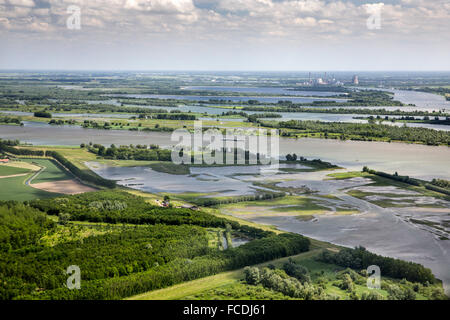 Niederlande, Werkendam, Biesbosch Nationalpark. Frisches Wasser Wattenmeer. Luftbild Stockfoto