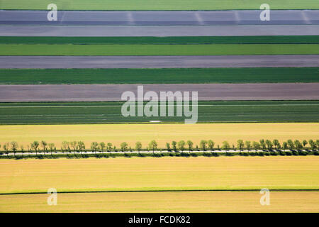 Niederlande, einem, Beemster Polder. UNESCO-Weltkulturerbe. Luftbild Stockfoto