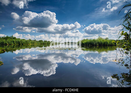 Niederlande, Ankeveen, Seen Ankeveense Plassen genannt Stockfoto