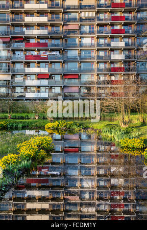 Niederlande, Gouda, Botanischer Garten in der Nähe von Wohnblock Stockfoto