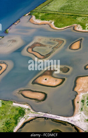 Niederlande, Stellendam, Haringvliet Lagune, kleinen Naturschutzgebiet in Überschwemmungsgebieten. Luftbild Stockfoto