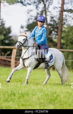 Welsh Mountain Pony, Abschnitt A. Mädchen im Galopp auf einem grauen Pony. Deutschland Stockfoto