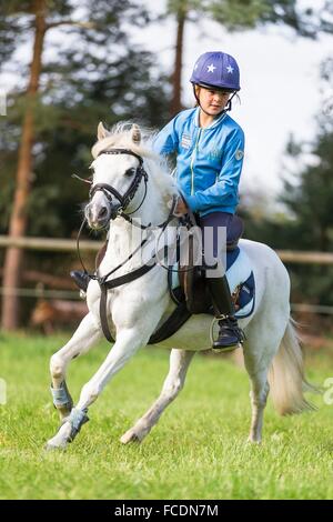 Welsh Mountain Pony, Abschnitt A. Mädchen im Galopp auf einem grauen Pony. Deutschland Stockfoto