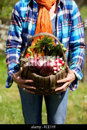 Frau mit einem Korb mit Gemüse aus dem Garten Stockfoto