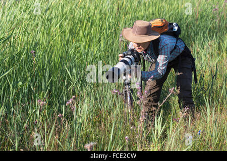 Niederlande, Ossenzijl, Nationalpark de Weerribben-Wieden. Fotograf Marjolijn van Steeden Fotografieren von Libellen Stockfoto