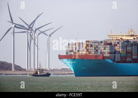 Niederlande, Rotterdam. Hafen von Rotterdam. Maasvlakte 2-Anschluss. Maersk-Containerschiff Stockfoto