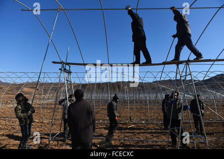 Chengde, Chinas Provinz Hebei. 22. Januar 2016. Landwirte eine Erdbeere Gewächshaus in Zhangjiying Stadt, Longhua Grafschaft, Stadt Chengde, Nordchinas Provinz Hebei, auf 22. Januar 2016 eingerichtet. Longhua Grafschaft hatte Maßnahmen zur Entwicklung der Landwirtschaft und die Einkommen der Landwirte in den letzten Jahren zu erhöhen. © Jin Liangkuai/Xinhua/Alamy Live-Nachrichten Stockfoto