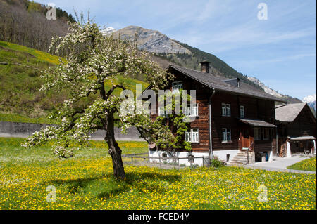 Bergdorf Elm, UNESCO World Heritage Site Schweizer tektonischen Arena Sardona, Kanton Glarus, Schweiz Stockfoto