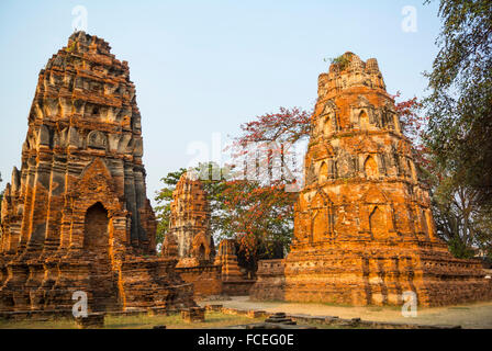 Wat Phra Mahathat Ayutthaya Thailand Stockfoto