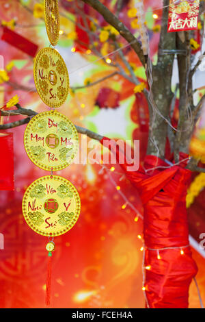 Chinese Lunar New Year ot Tet Dekorationen auf der Straße, Vietnam. Stockfoto