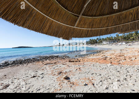 Detail der geflochtenen Sonnenschirme über Reihen am Strand in Zypern. Stockfoto