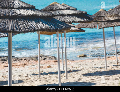 Detail der geflochtenen Sonnenschirme über Reihen am Strand in Zypern. Stockfoto