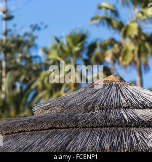 Detail der geflochtenen Sonnenschirme über Reihen am Strand in Zypern. Stockfoto