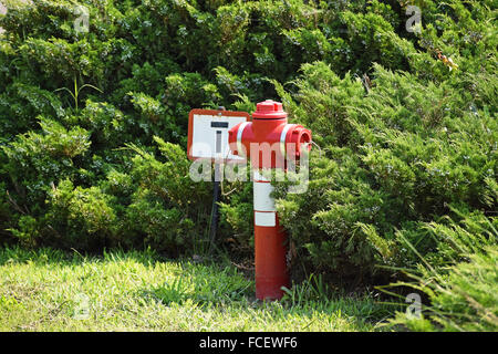 Hydranten im park Stockfoto