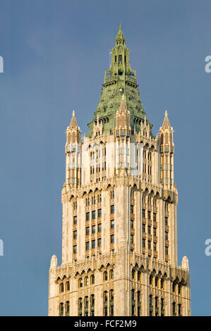 Woolworth Building, neugotische Architektur mit Terrakotta-Fassade Ornament und Kupfer Dach, Lower Manhattan, New York City Stockfoto