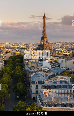 Avenue Iena und Eiffelturm durch einen Sommer Sonnenuntergang beleuchtet. Erhöhten Blick auf 16. Arrondissement Dächer im Herzen von Paris Stockfoto