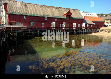 Das Polar Museum Polarmuseet Tromsø Norwegen Scandinavia Europe Stockfoto