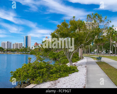 Rad-Wanderweg entlang Sarasota Uferpromenade in Sarasota FLorida Stockfoto