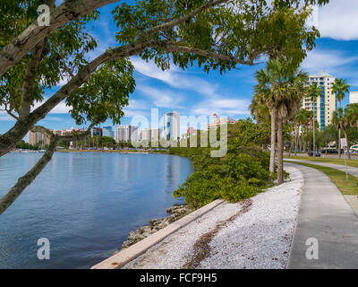 Rad-Wanderweg entlang Sarasota Uferpromenade in Sarasota FLorida Stockfoto