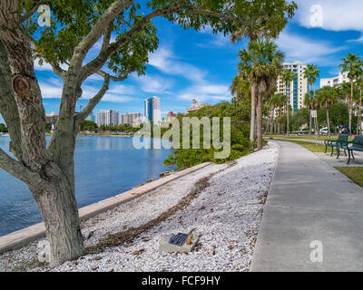 Rad-Wanderweg entlang Sarasota Uferpromenade in Sarasota FLorida Stockfoto