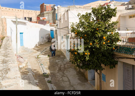 Tunesien, El Kef, Jendouba Governorate Stockfoto