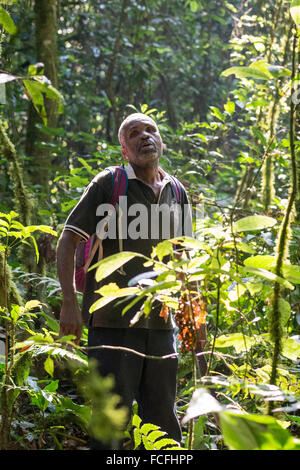 Schimpanzze Reise in die Kyambura Schlucht in Queen Elizabeth National Park im Westen Ugandas Stockfoto