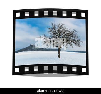 Der Zirkelstein Rock, Reinhardtsdorf Schoena, Sächsische Schweiz in der Nähe von Dresden, Sachsen, Deutschland, Europa Stockfoto