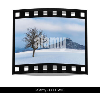 Der Zirkelstein Rock, Reinhardtsdorf Schoena, Sächsische Schweiz in der Nähe von Dresden, Sachsen, Deutschland, Europa Stockfoto