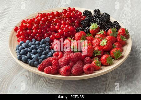 Frische Sommer Früchte auf einem Teller, Heidelbeeren, Erdbeeren, Johannisbeeren, Himbeeren und Brombeeren Stockfoto