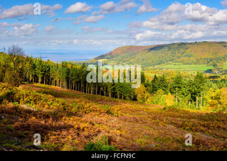 Blick von einer Lichtung im Luccombe Plantage über Porlock Bucht und Bossington. Exmoor, Somerset Stockfoto