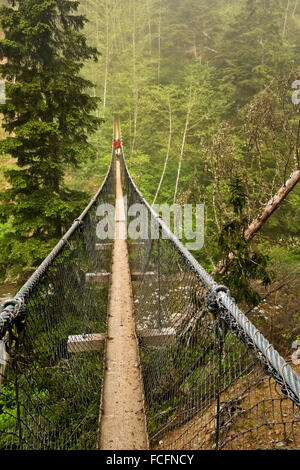 BRITISH COLUMBIA - Wanderer überqueren die Hängebrücke über den Logan Creek auf Vancouver Island an der West Coast Trail; Pacific Rim. Stockfoto